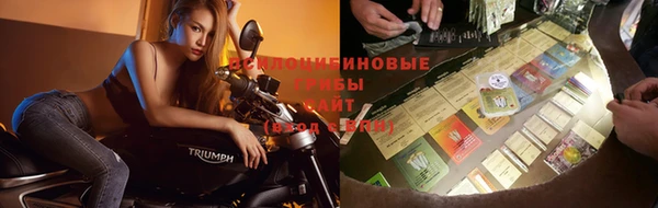 дмт Беломорск