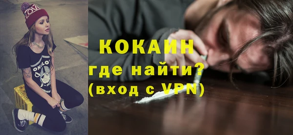 стаф Богданович