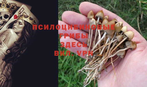 a pvp Белоозёрский