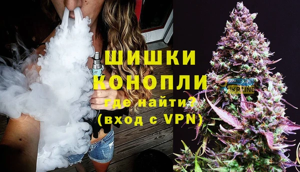 стаф Богданович