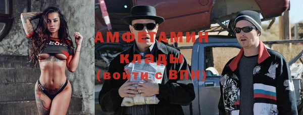 стаф Богданович