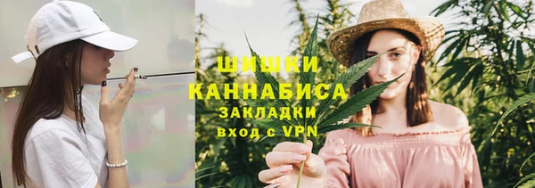 шишки Богородск