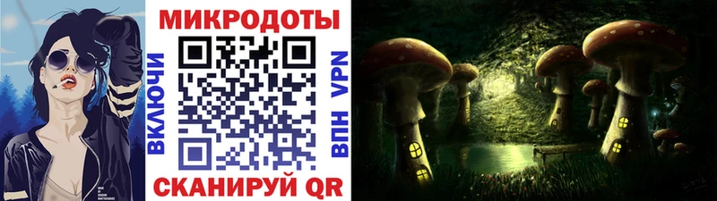 Галлюциногенные грибы мицелий  Городовиковск 
